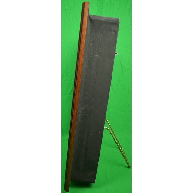 Classic English horse racing shadow box including a 'Glorious Goodwood' racecourse 1952 programme, Swaine & Adeney Ltd...