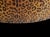 2010s Massive Round Upholstered Tufted Leopard Ottoman For Sale - Image 5 of 7
