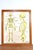 Vintage Double Sided School Posters in Frame of the Human Body, 1950s For Sale - Image 15 of 18