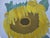 1960s Swedish Mid Century Modern Oil Painting of Sunflowers by Brita Streijffert For Sale In Orlando - Image 6 of 18