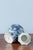 Dutch Blue & White Chinoiserie Lidded Jar, 1600s For Sale - Image 9 of 11