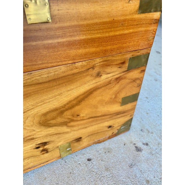 19th Century English Camphor Wood Campaign Chest For Sale - Image 13 of 18