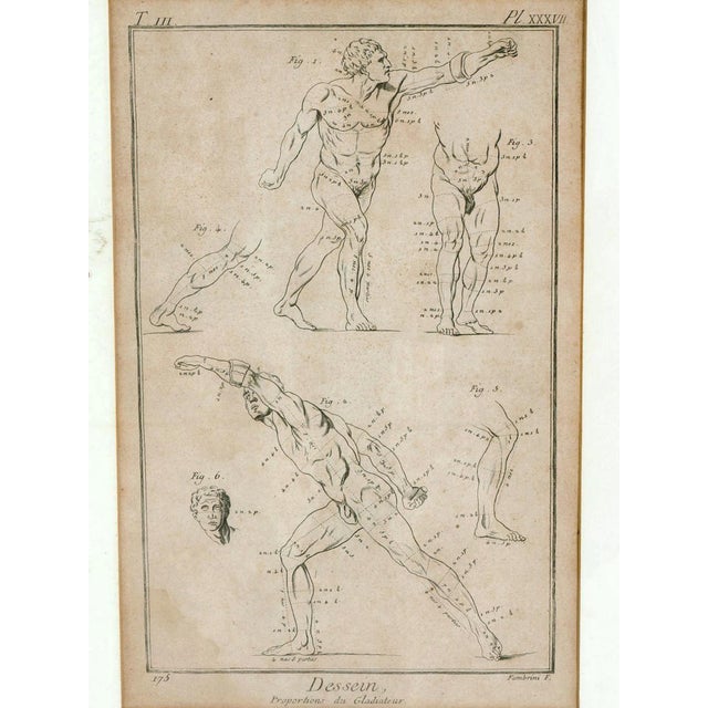 Diptych With Two Antique Engravings by Benoît-Louis Prévost For Sale - Image 4 of 9