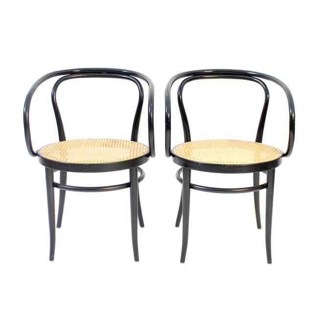 Bauhaus Set of Model 209 Armchairs from Thonet, 1990s For Sale - Image 3 of 16