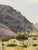 Realism Southwestern Landscape Chisum Trail New Mexico Signed Oil Painting Dated 2002 Signed For Sale - Image 15 of 18