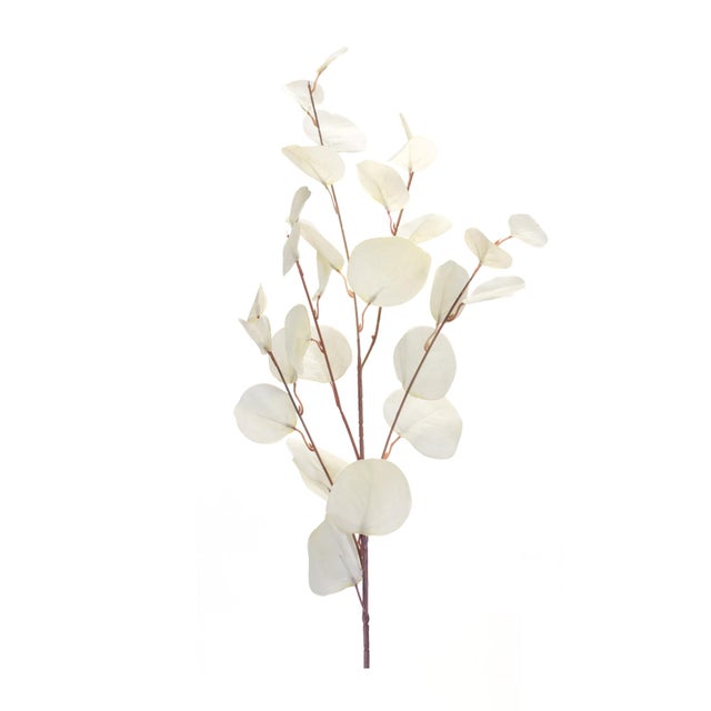 Kenneth Ludwig Chicago IvorySilver Dollar Eucalyptus Leaf Spray (Set of 6) For Sale - Image 4 of 5