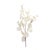 Kenneth Ludwig Chicago IvorySilver Dollar Eucalyptus Leaf Spray (Set of 6) For Sale - Image 4 of 5