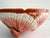 Antique French Sarreguemines Majolica Lobster Clamshell Centerpiece Bowl For Sale - Image 14 of 17