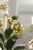 Metal Hand Painted 5-Light Tole Floral Chandelier, 1950s Italy For Sale - Image 7 of 14