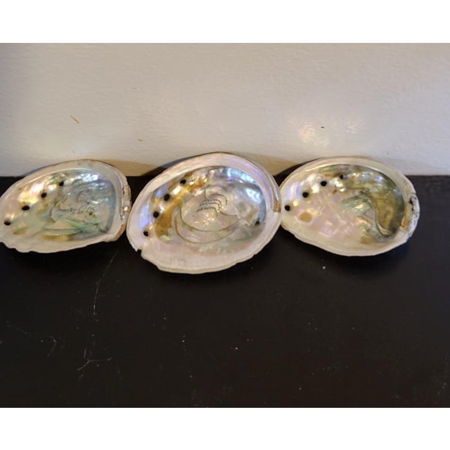 Set of three natural coastal abalone shell. A beautiful assortment in an opalescent color palette for display or unique...