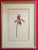 Watercolor botanical painting of a lady slipper orchid 1940's. Accurately depicted and beautifully painted. Framed and...