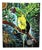 Alessandro Filetti, Toucan, 2013, Acrylic Painting on Canvas, Framed For Sale