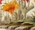 2020s 18" X 18" Florilegium - Original Botanical Floral Print, Unframed For Sale - Image 5 of 6