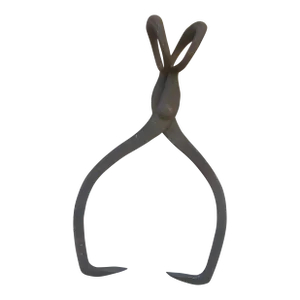 Antique Ice Tongs