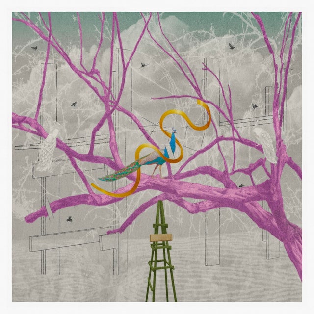 The Peacock is from my Of a [Familiar] Nature series and was created in 2025. The work reflects on the relationship...