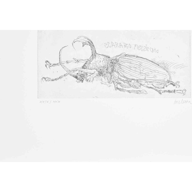 Sergio Barletta, Mexican Beetle, Etching, 1970s For Sale