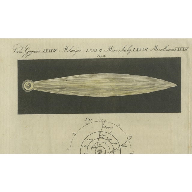 Antique Comets with Tails Engraving by Bertuch, 1807 For Sale - Image 5 of 9