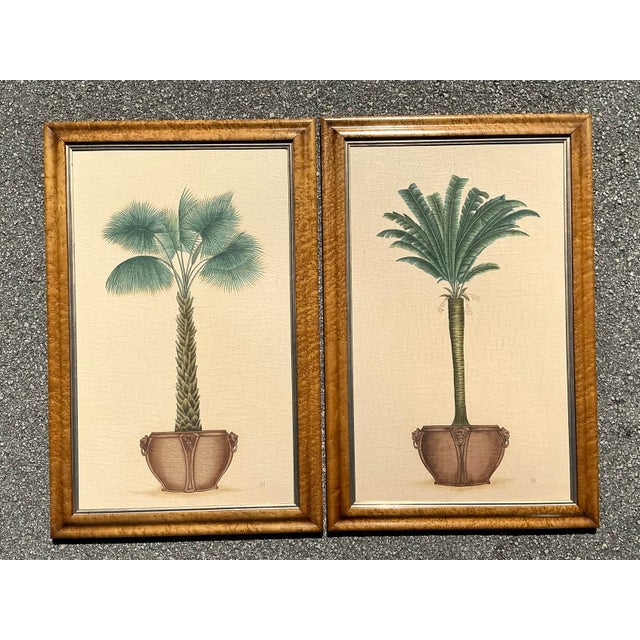 Vintage Coastal Palm Prints - A Pair For Sale - Image 12 of 12
