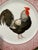 Rustic European 1980s Rooster Plates With Four Different Rooster Designs- Set of 12 Farmhouse For Sale - Image 3 of 9