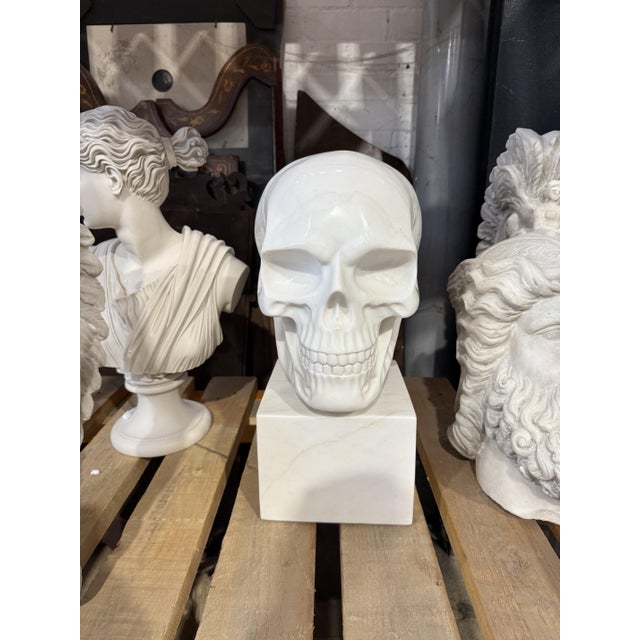 Stone Hand-Carved Skull Sculpture on Square Plinth, White Marble For Sale - Image 7 of 7