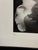 Jess Johnston Photograph, Framed For Sale - Image 9 of 12