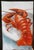 Original Oil Painting Impressionist Crayfish For Sale - Image 6 of 11