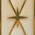 Pair of French Brass Starburst Motif Sconces, 1950s For Sale - Image 4 of 11