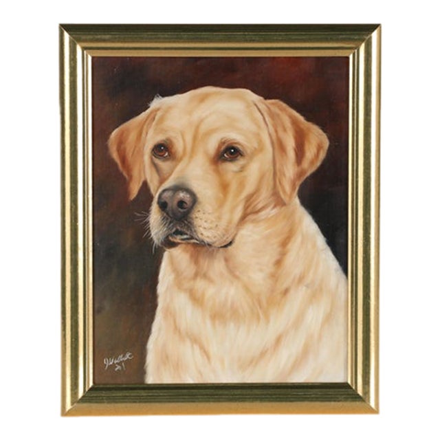 Portrait of a Dog, Golden Labrador Retriever For Sale