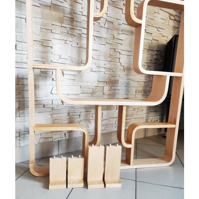 Mid-Century Czechoslovakian Room Divider by Ludvik Volak for Drevopodnik Holesov, 1960s For Sale - Image 4 of 5