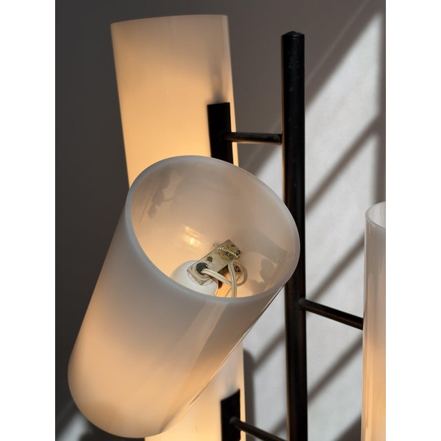 Mid-Century Modern Floor Lamp by Bruno Gatta for Stilnovo, 1960s For Sale - Image 3 of 10