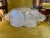 Shabby Chic Glass Swan Bowl Cachepot Vase Centerpiece For Sale - Image 3 of 6