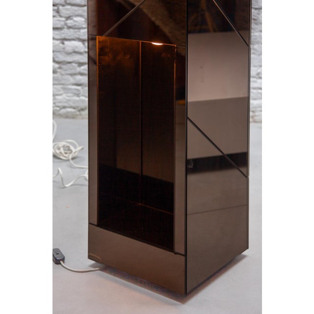 Smoked Mirrored Illuminated Planter attributed to Belgo Chrome, 1970s For Sale - Image 11 of 15