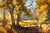 In "Autumn Grove," vibrant yellows and warm oranges dominate the landscape, capturing the essence of fall foliage. The...