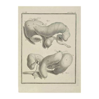 Jacques Baron, The Organs, Etching, 1771 For Sale