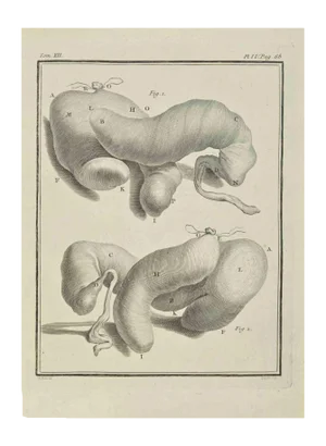 Jacques Baron, The Organs, Etching, 1771