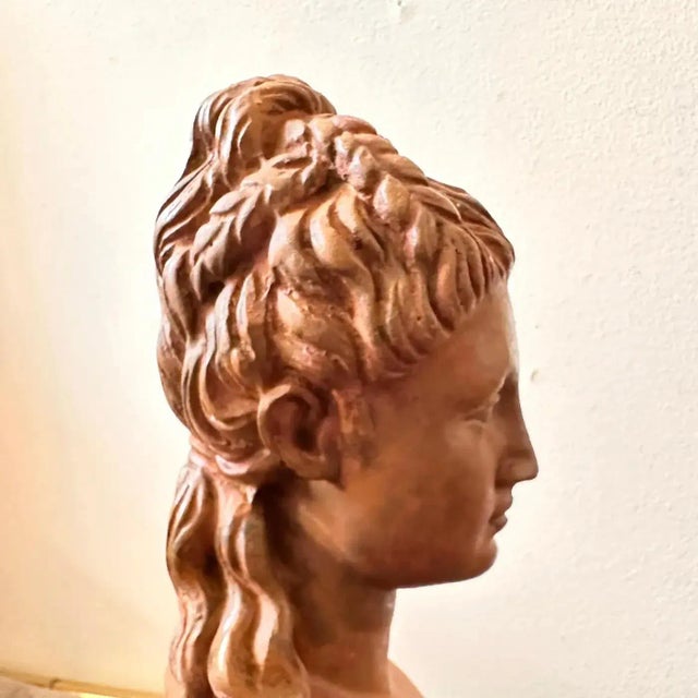 Neoclassical 1900s Neoclassical Red Brick Patina Metal Italian Bust of a Woman For Sale - Image 3 of 10