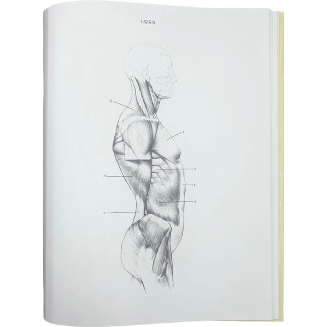 Anatomy for the Artist by Jeno Barcsay 1995 Hardcover Drawing Book For Sale - Image 9 of 13