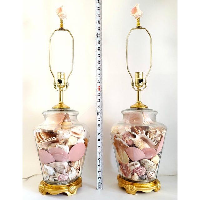 Lamp Pair Seashells Shellls For Sale In Miami - Image 6 of 12
