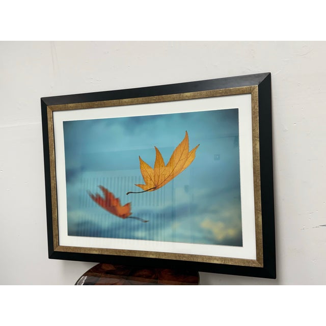 Design Plus Gallery presents the Leaves in Motion Print from Thom Filicia for Soicher Marin. The print was sourced by...