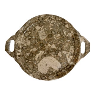 Mid 20th Century Natural Fossilized Stone Serving Display Tray For Sale
