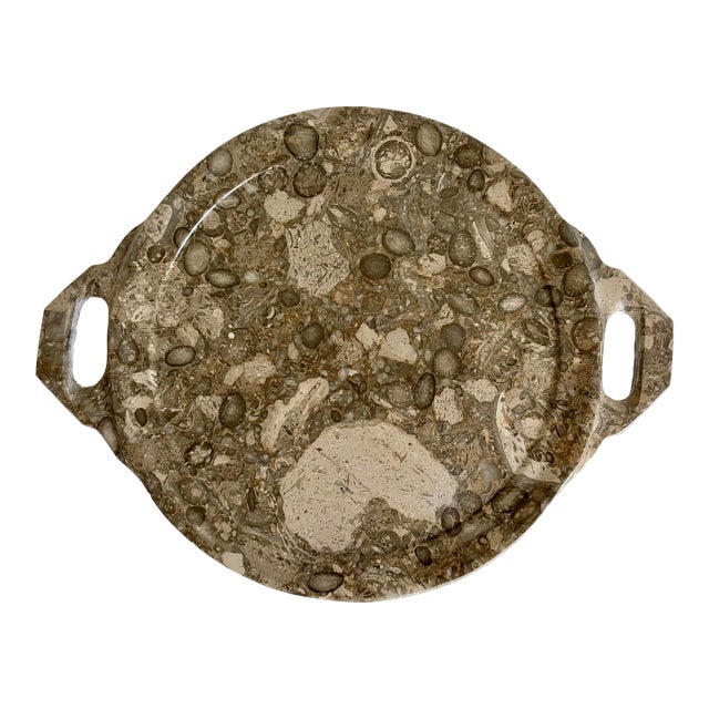 Mid 20th Century Natural Fossilized Stone Serving Display Tray For Sale