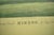 Printmaking Materials The Great Racing Crack Hindoo, by Virgil, Dam Florence, by Lexington Reproduction For Sale - Image 7 of 7
