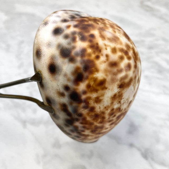 Brown 19th Century Hand Carved Cowry Shell Ladle Set - a Pair For Sale - Image 8 of 12