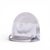 Art Nouveau Rene Lalique Signed Birds Menu Holder For Sale - Image 3 of 8