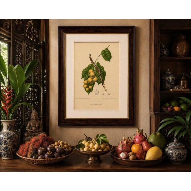 Gold Berthe Hoola van Nooten, Asian Fruit Langsat, 1880, Chromolithograph For Sale - Image 8 of 9