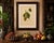 Gold Berthe Hoola van Nooten, Asian Fruit Langsat, 1880, Chromolithograph For Sale - Image 8 of 9