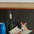 Wood Vintage Still Life Painting With Kitten by Alfano Dardari For Sale - Image 7 of 11