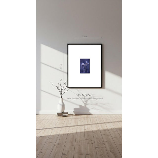 Paul Cooklin, Woodruff, Gallium Odoratum, Edition of 50 For Sale - Image 6 of 7