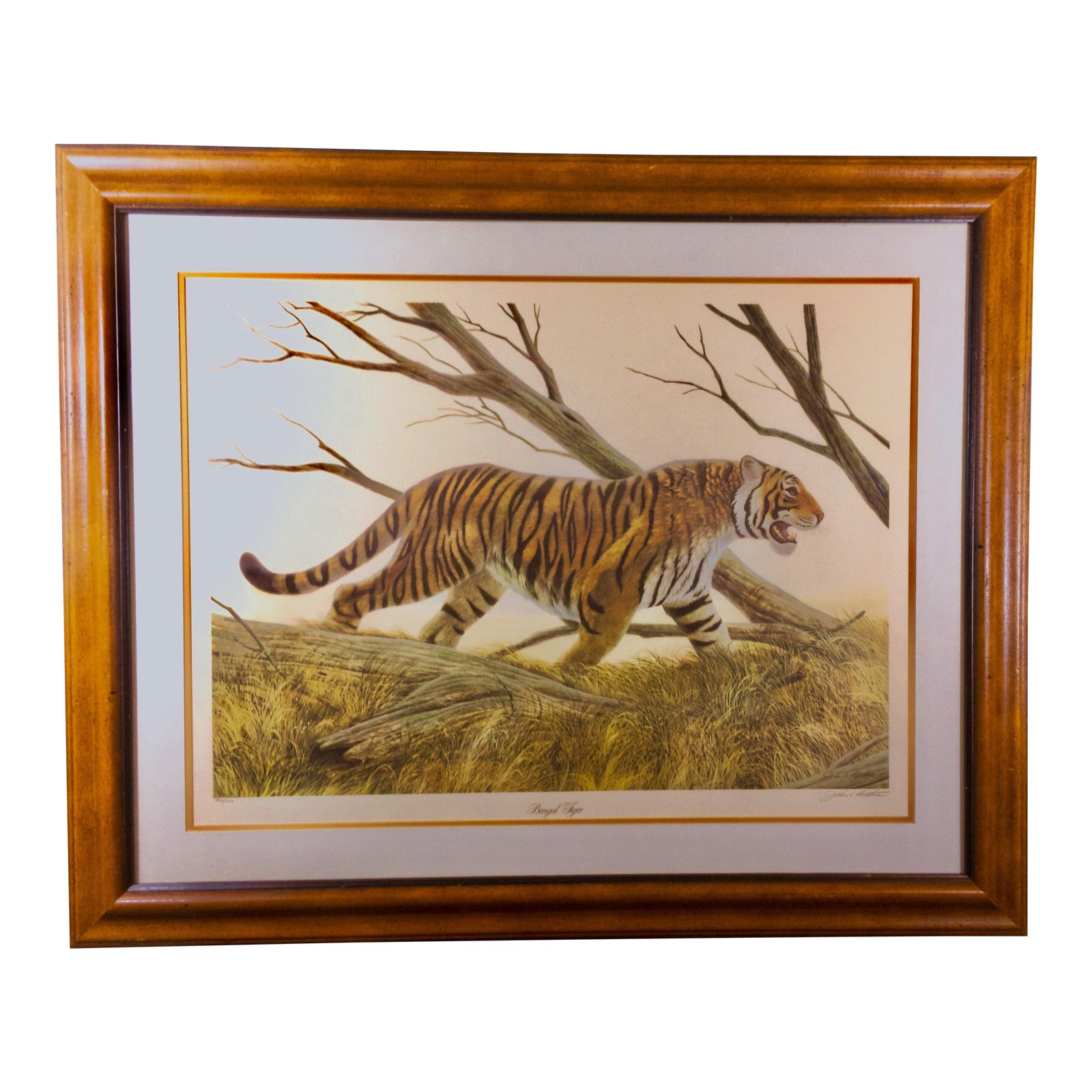 1975 John Ruthven Bengal Tiger Art Lithograph, Signed/Numbered, Custom