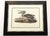 Late 20th Century Framed Audubon Bird Prints - A Pair For Sale - Image 9 of 15